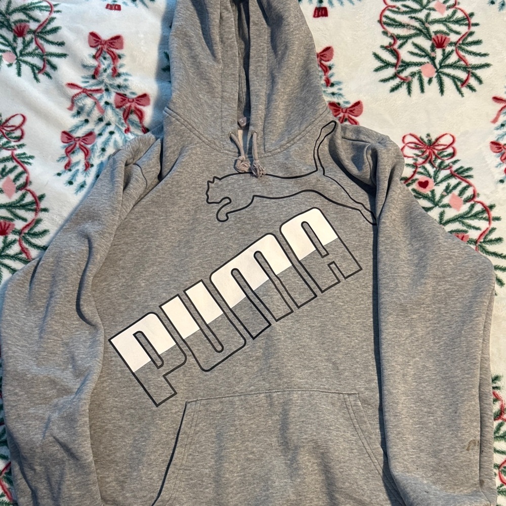 PUMA  Gray Hoodie with Logo
